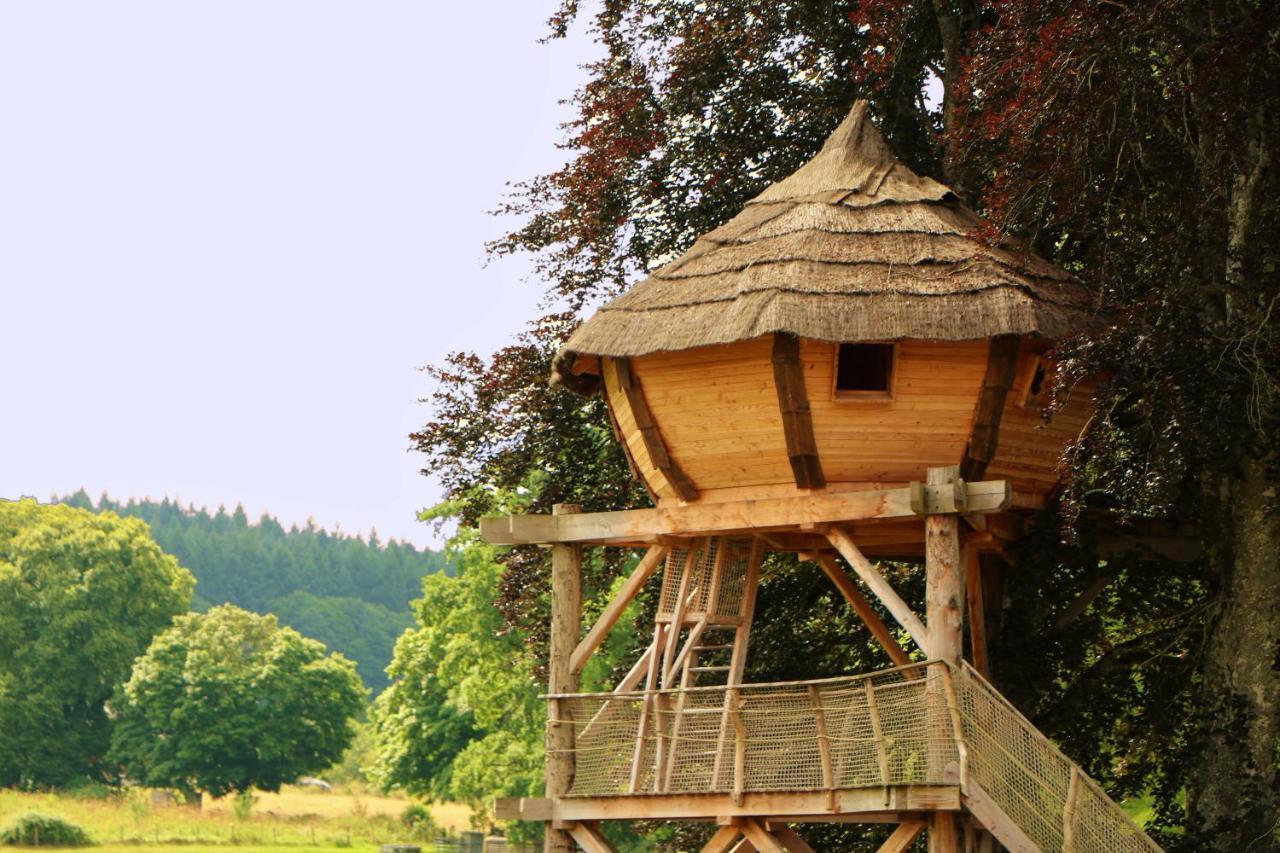 Cabane Perchee Dans Les Arbres Saint-Hilaire-en-Morvan Exteriér fotografie