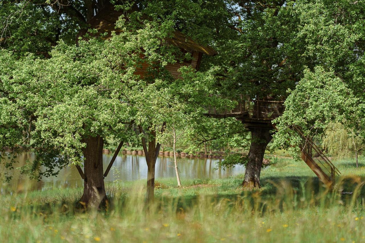 Cabane Perchee Dans Les Arbres Saint-Hilaire-en-Morvan Exteriér fotografie