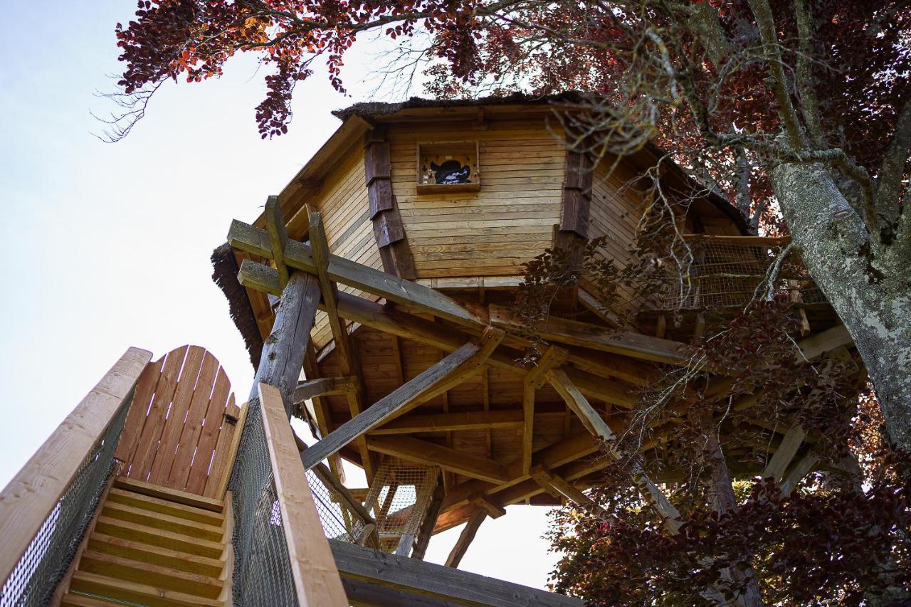 Cabane Perchee Dans Les Arbres Saint-Hilaire-en-Morvan Exteriér fotografie