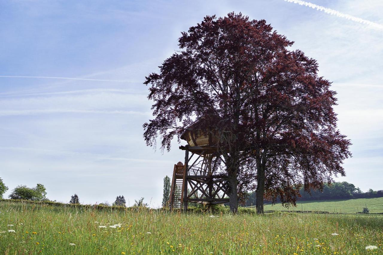 Cabane Perchee Dans Les Arbres Saint-Hilaire-en-Morvan Exteriér fotografie