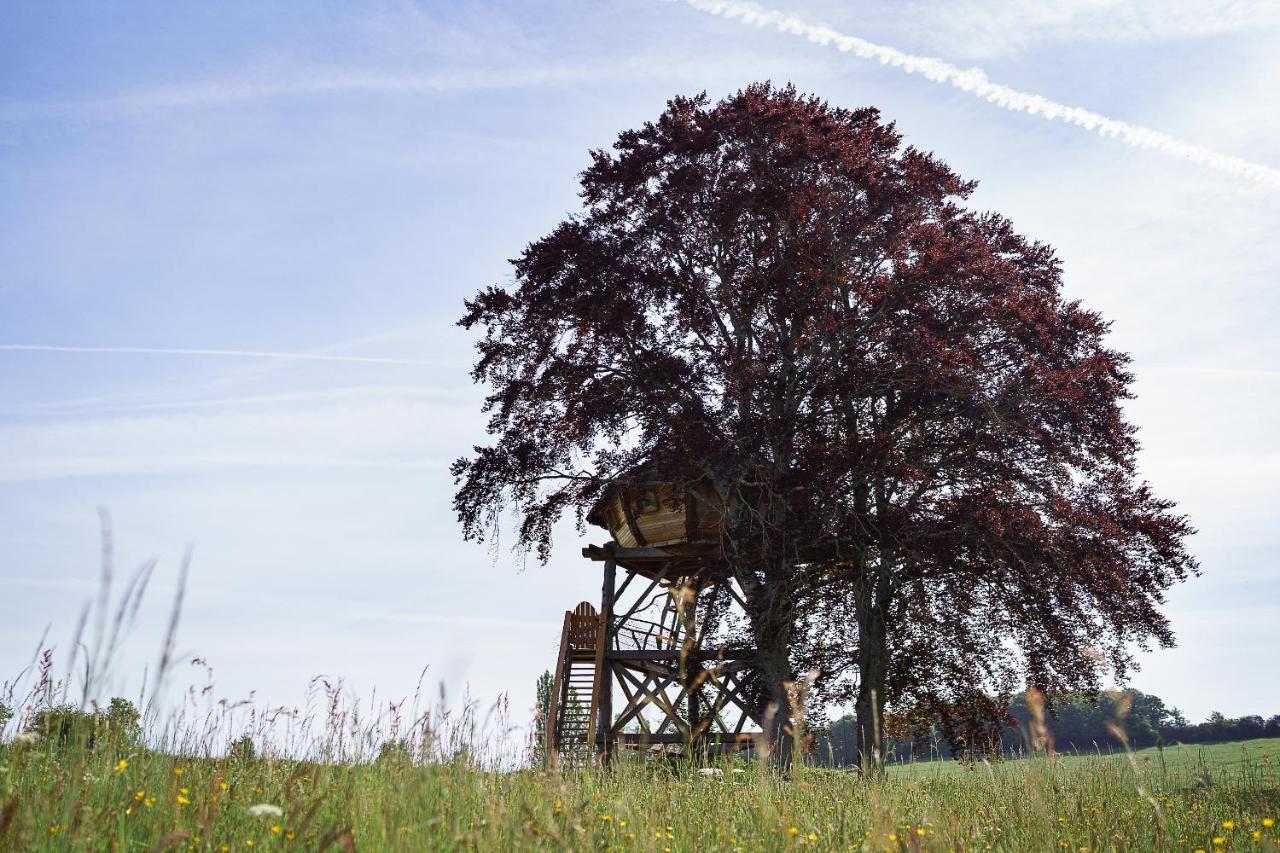 Cabane Perchee Dans Les Arbres Saint-Hilaire-en-Morvan Exteriér fotografie