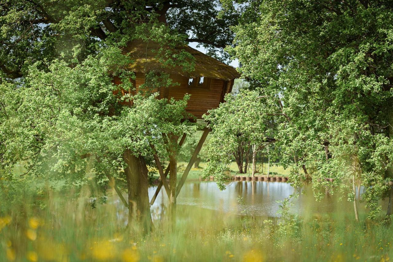 Cabane Perchee Dans Les Arbres Saint-Hilaire-en-Morvan Exteriér fotografie