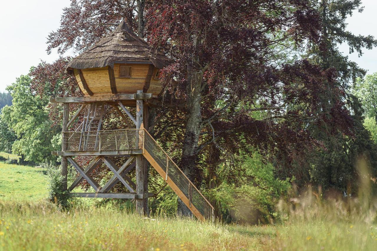 Cabane Perchee Dans Les Arbres Saint-Hilaire-en-Morvan Exteriér fotografie