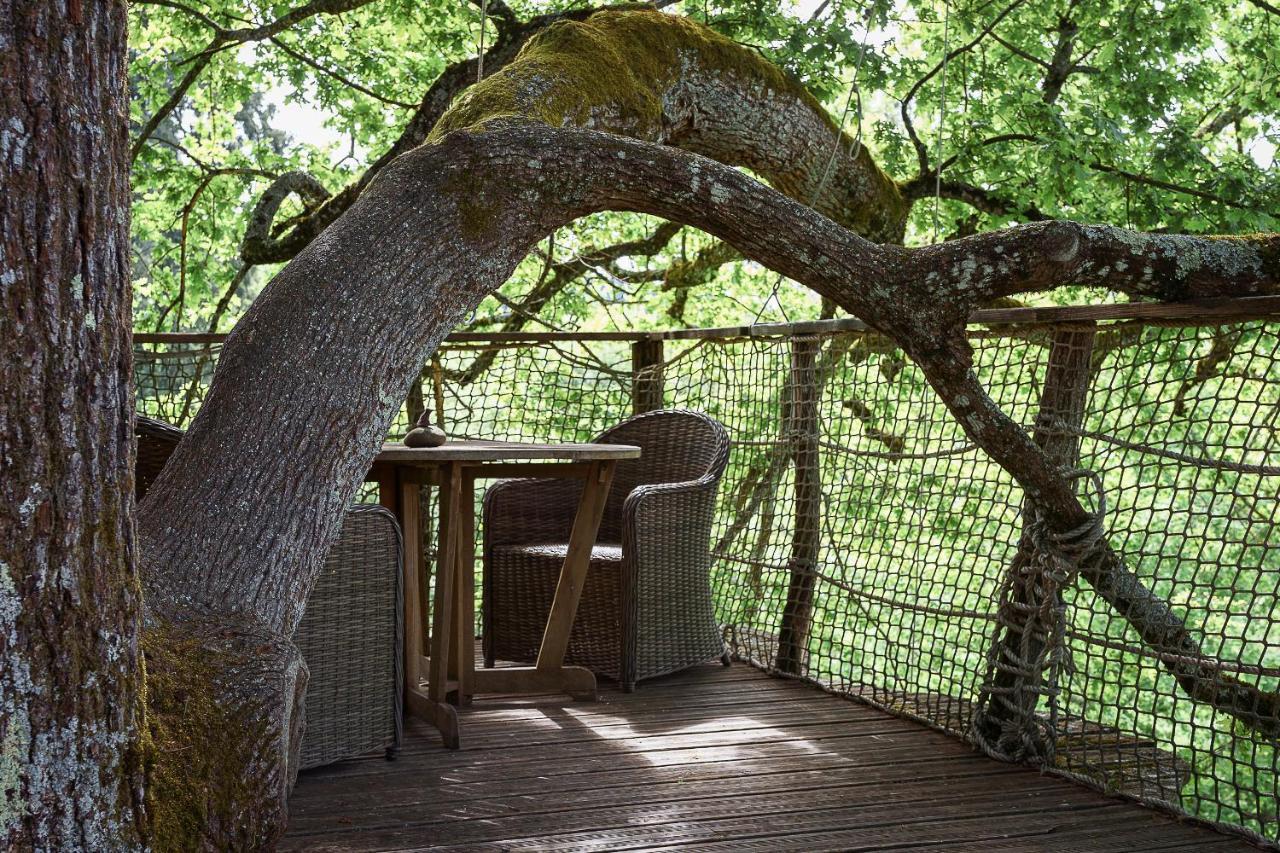 Cabane Perchee Dans Les Arbres Saint-Hilaire-en-Morvan Exteriér fotografie