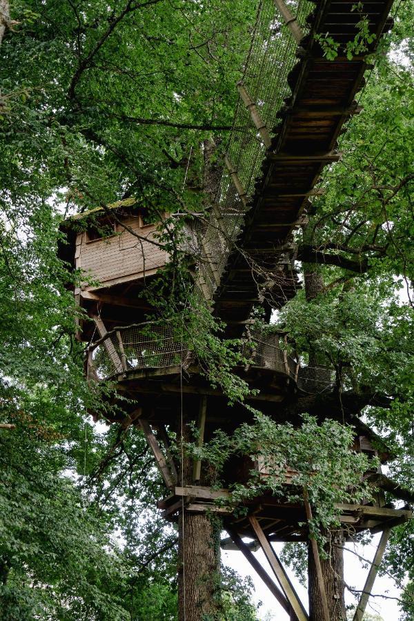 Cabane Perchee Dans Les Arbres Saint-Hilaire-en-Morvan Exteriér fotografie