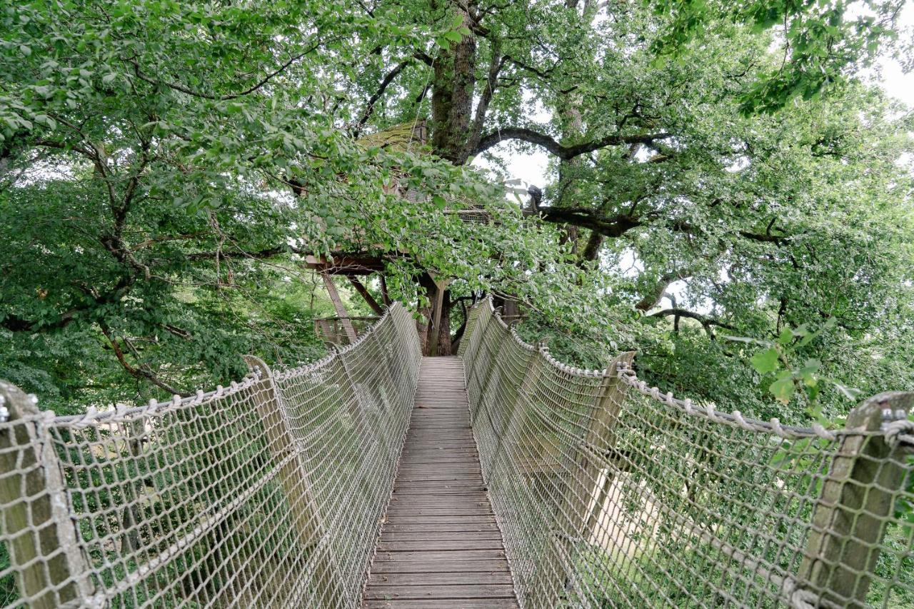 Cabane Perchee Dans Les Arbres Saint-Hilaire-en-Morvan Exteriér fotografie