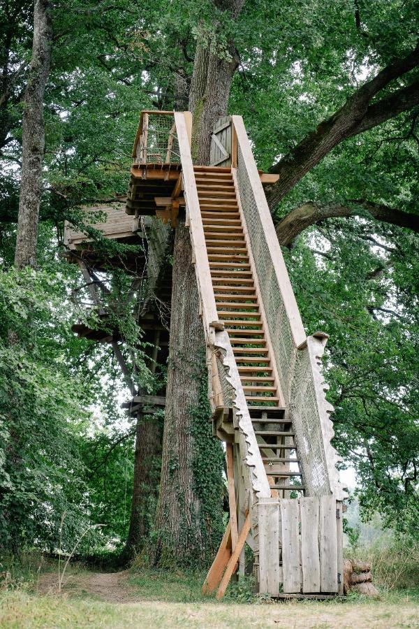 Cabane Perchee Dans Les Arbres Saint-Hilaire-en-Morvan Exteriér fotografie