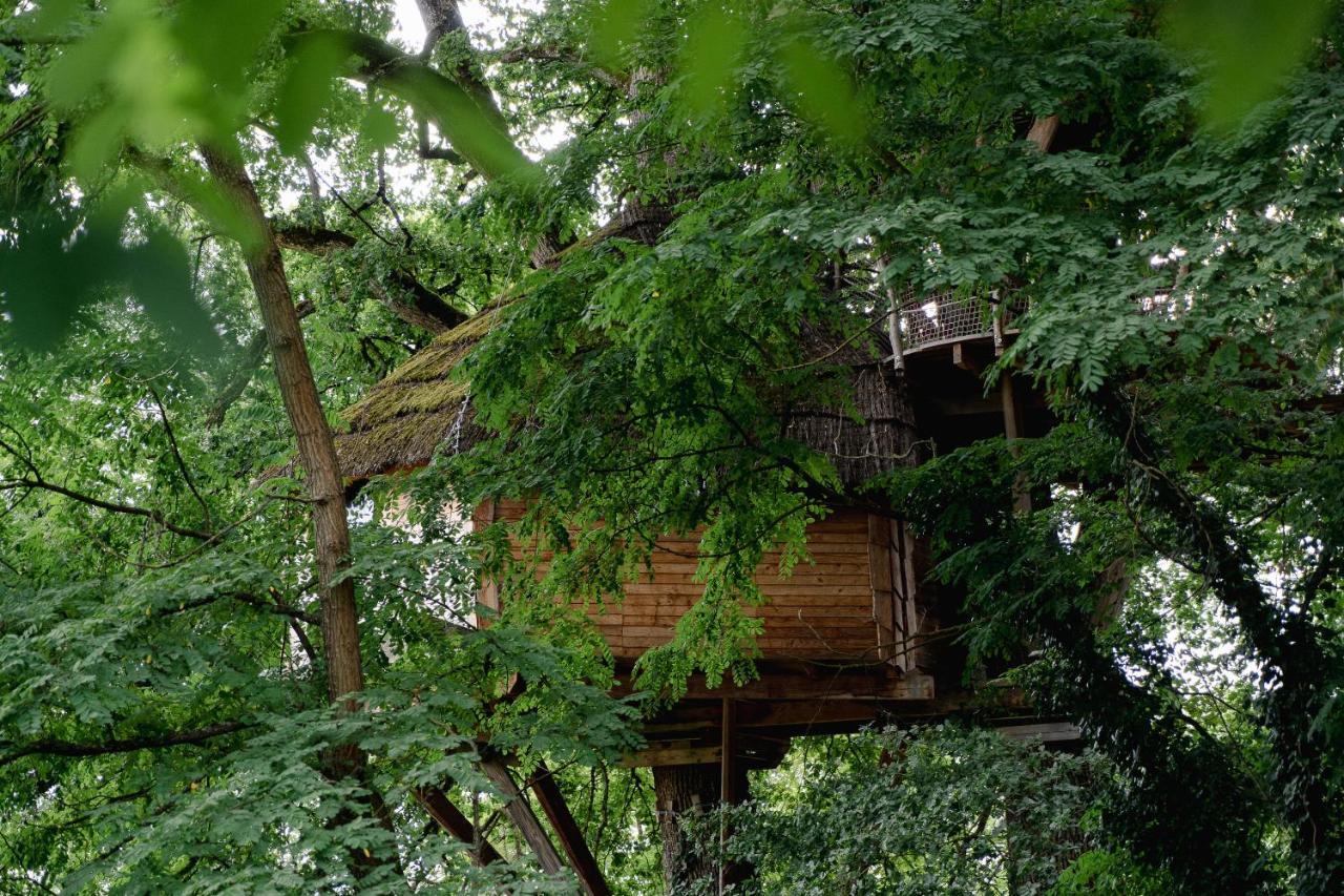 Cabane Perchee Dans Les Arbres Saint-Hilaire-en-Morvan Exteriér fotografie
