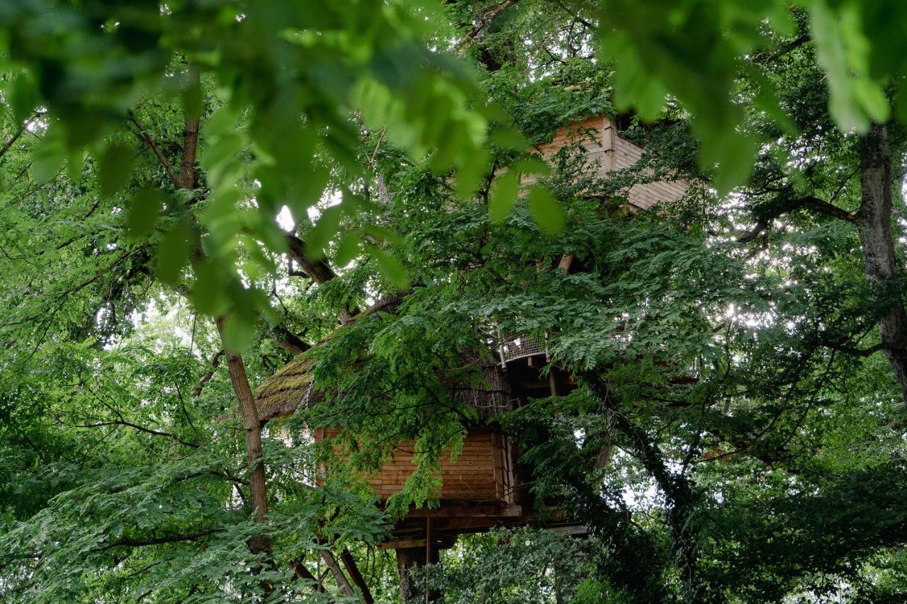 Cabane Perchee Dans Les Arbres Saint-Hilaire-en-Morvan Exteriér fotografie